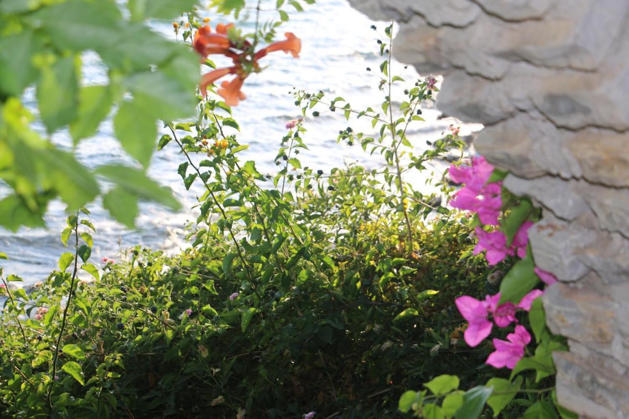 Gulluk Urga Butik Otel & Restaurant מראה חיצוני תמונה