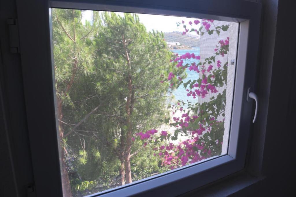 Gulluk Urga Butik Otel & Restaurant מראה חיצוני תמונה